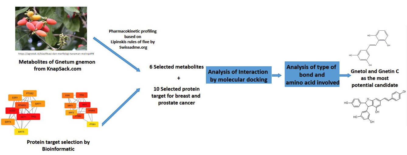 Graphical Abstract